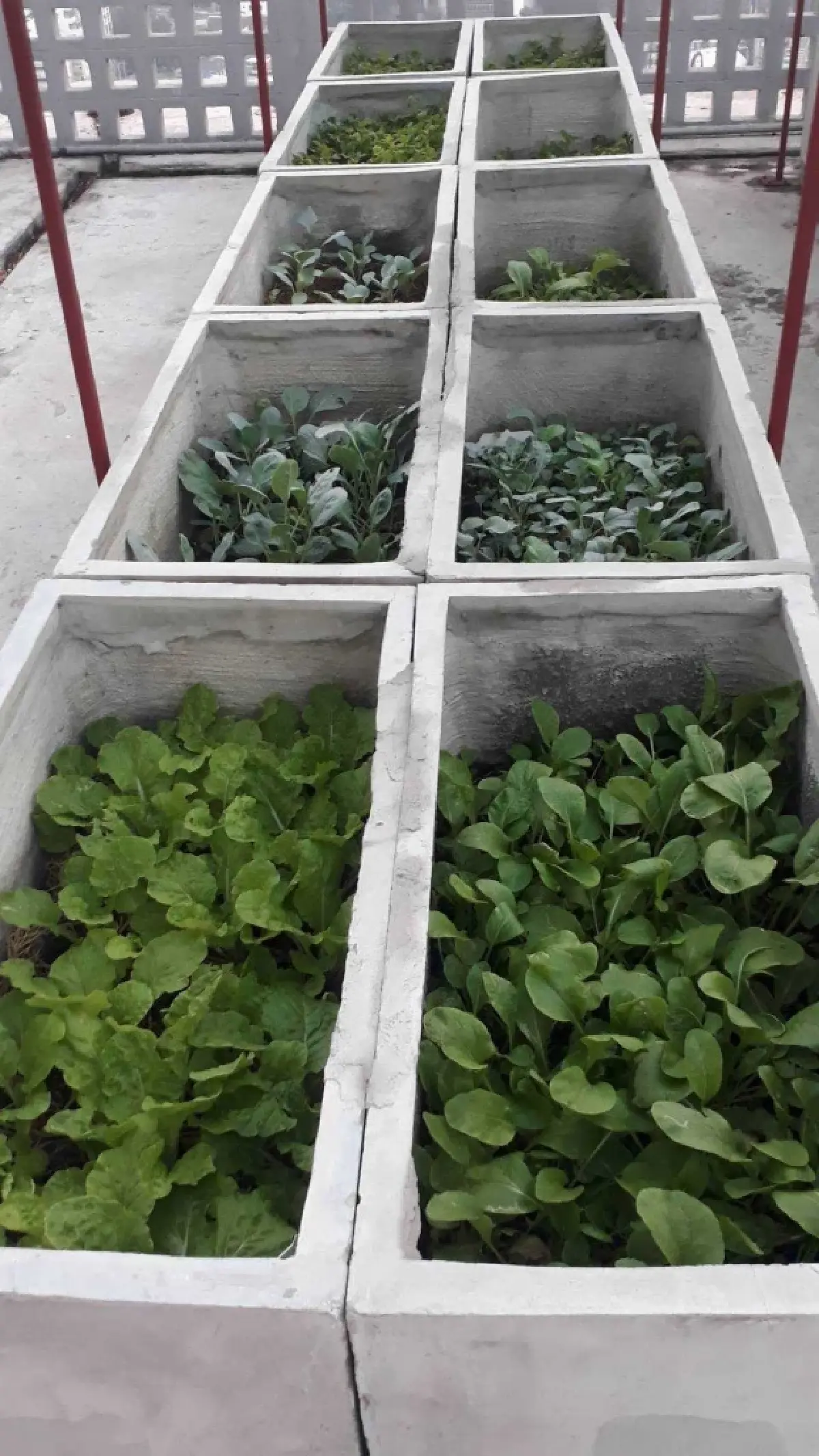 การเคหะแห่งชาติ ปลื้มผลตอบรับ “โครงการฟื้นฟูเมืองชุมชนดินแดง ระยะที่ 1”