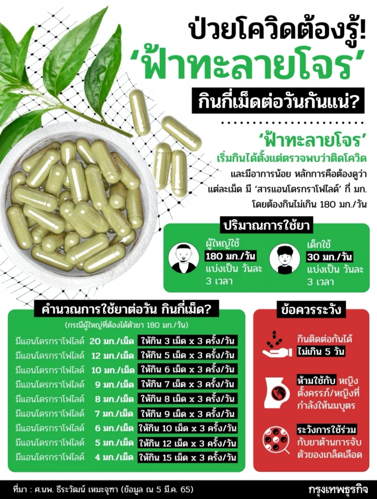 ตรวจ ATK พบ "ติดโควิด" กินยา "ฟ้าทะลายโจร" ได้กี่เม็ดต่อวันกันแน่?