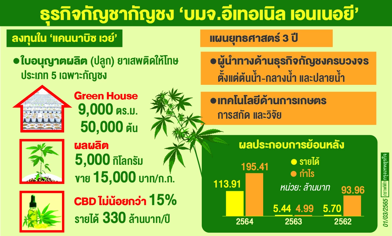 EE เปิดโมเดลธุรกิจ “กัญชง” ลุยปลูก-สกัด-แปรรูปดันรายได้ปี 66