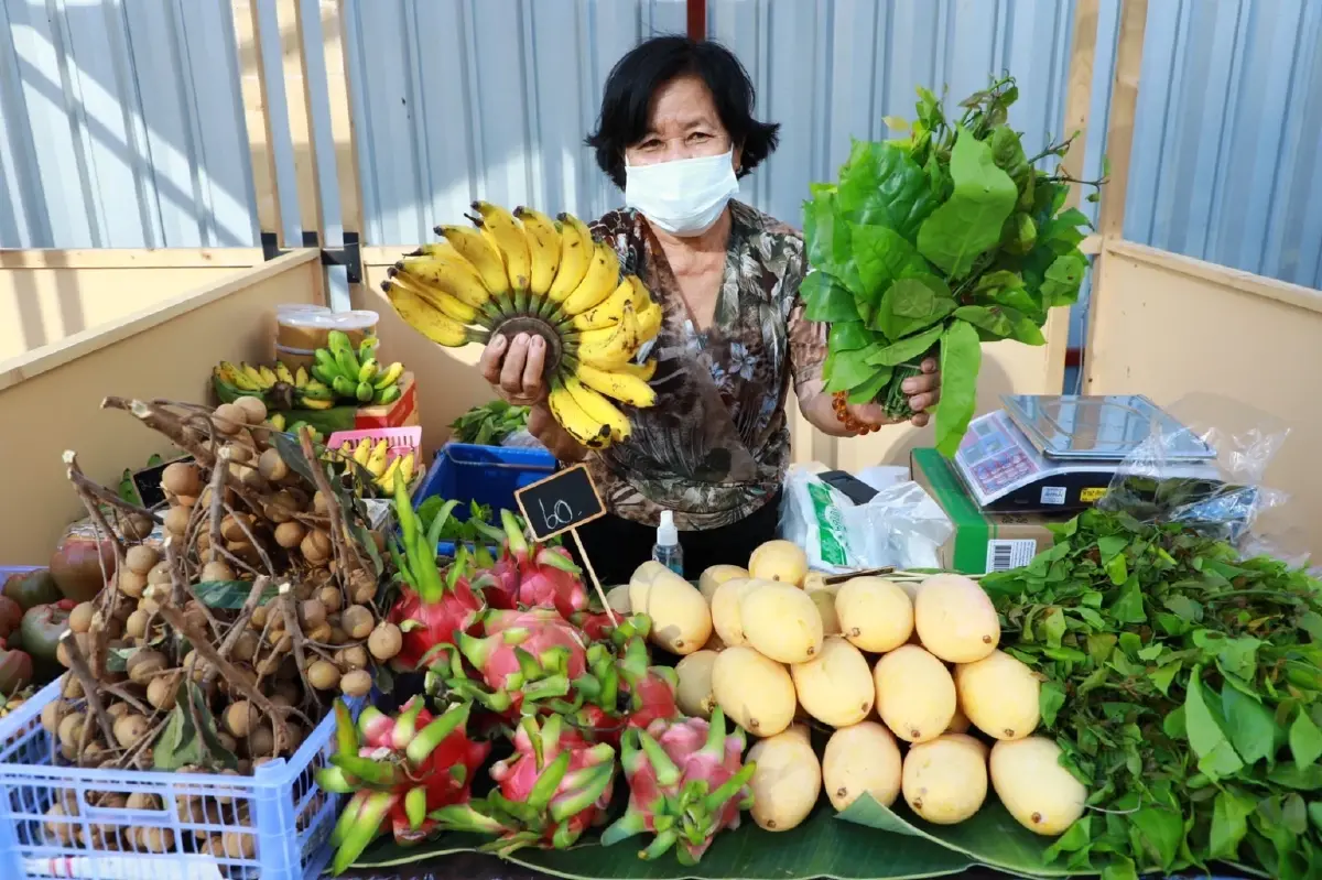 กรมการค้าภายในปลื้ม งานตลาดนัดอินทรีย์จัด 3 สัปดาห์แรก