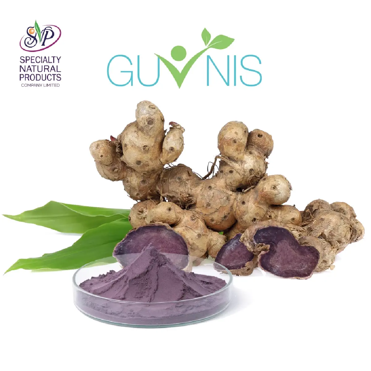 SNP ต่อยอดภูมิปัญญาพื้นบ้าน | พิกุล ศรีมหันต์