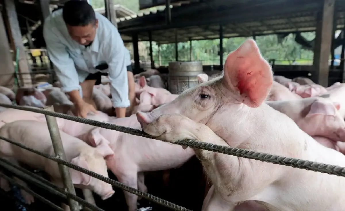 เศรษฐกิจในภาวะอัตราเงินเฟ้อสูง: ข้อคิดสำหรับผู้ทำนโยบาย | บัณฑิต นิจถาวร