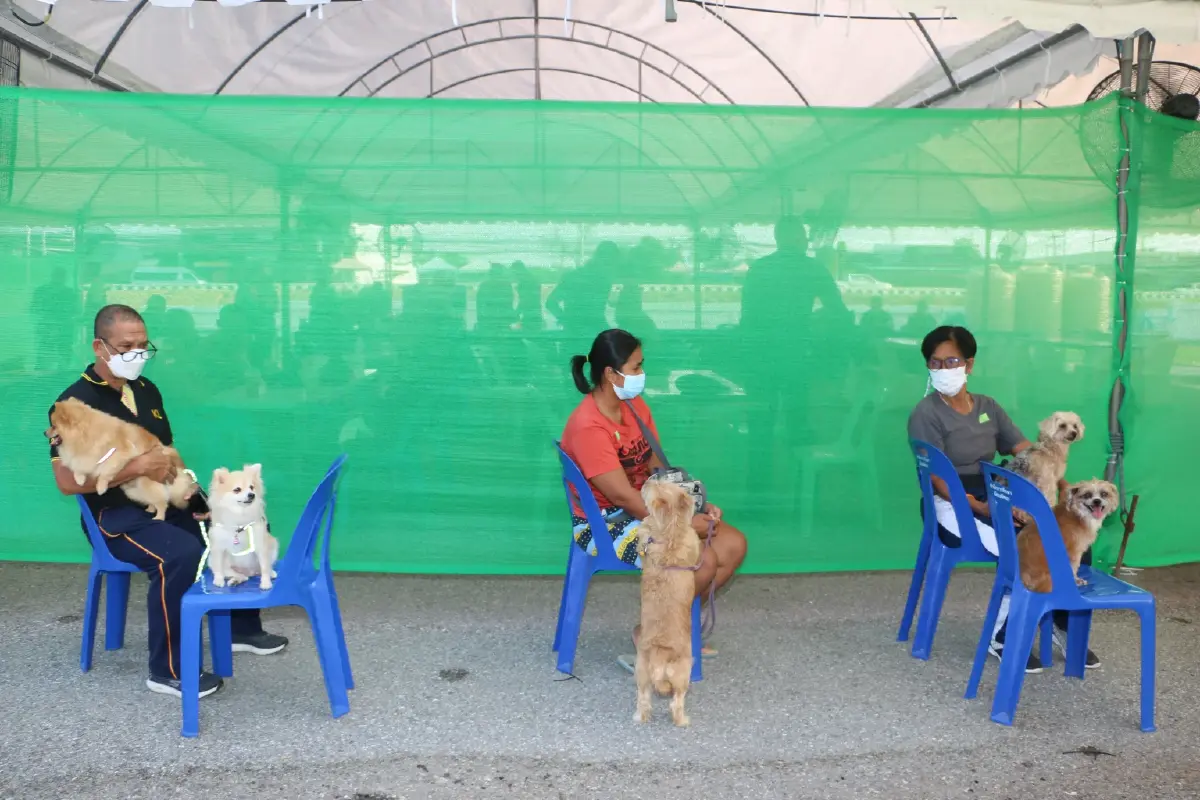 กรมพระศรีสวางควัฒนฯ เสด็จไปทรงออกหน่วยสัตวแพทย์อาสาจุฬาภรณ์ ป้องกันการแพร่ระบาดโรคพิษสุนัขบ้า เป็นวันที่สอง