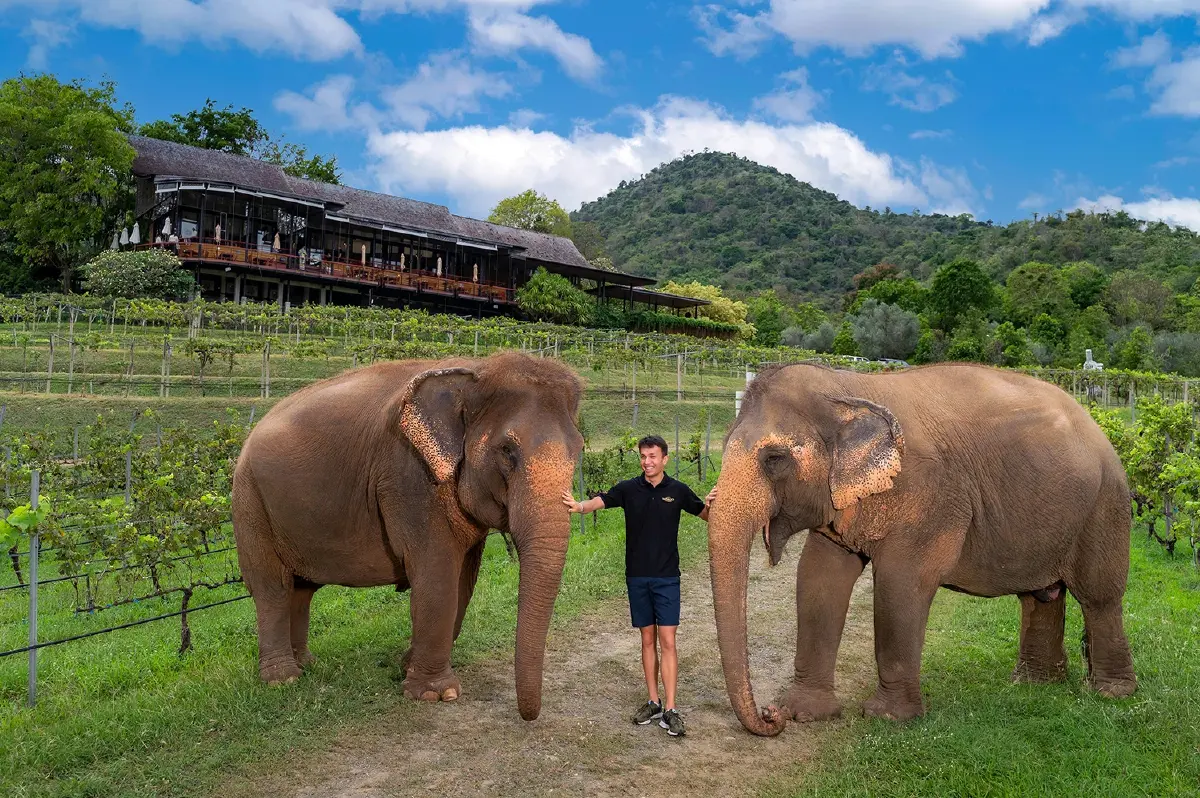 ความมุ่งมั่นที่ทรงพลัง มอนซูน แวลลีย์ รังสรรค์ความร่วมมือแห่งชัยชนะ กับ “อเล็กซ์ อัลบอน” นักแข่งรถฟอร์มูล่า วัน สายเลือดไทย