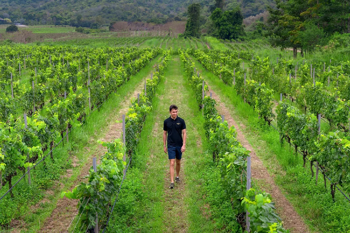 ความมุ่งมั่นที่ทรงพลัง มอนซูน แวลลีย์ รังสรรค์ความร่วมมือแห่งชัยชนะ กับ “อเล็กซ์ อัลบอน” นักแข่งรถฟอร์มูล่า วัน สายเลือดไทย