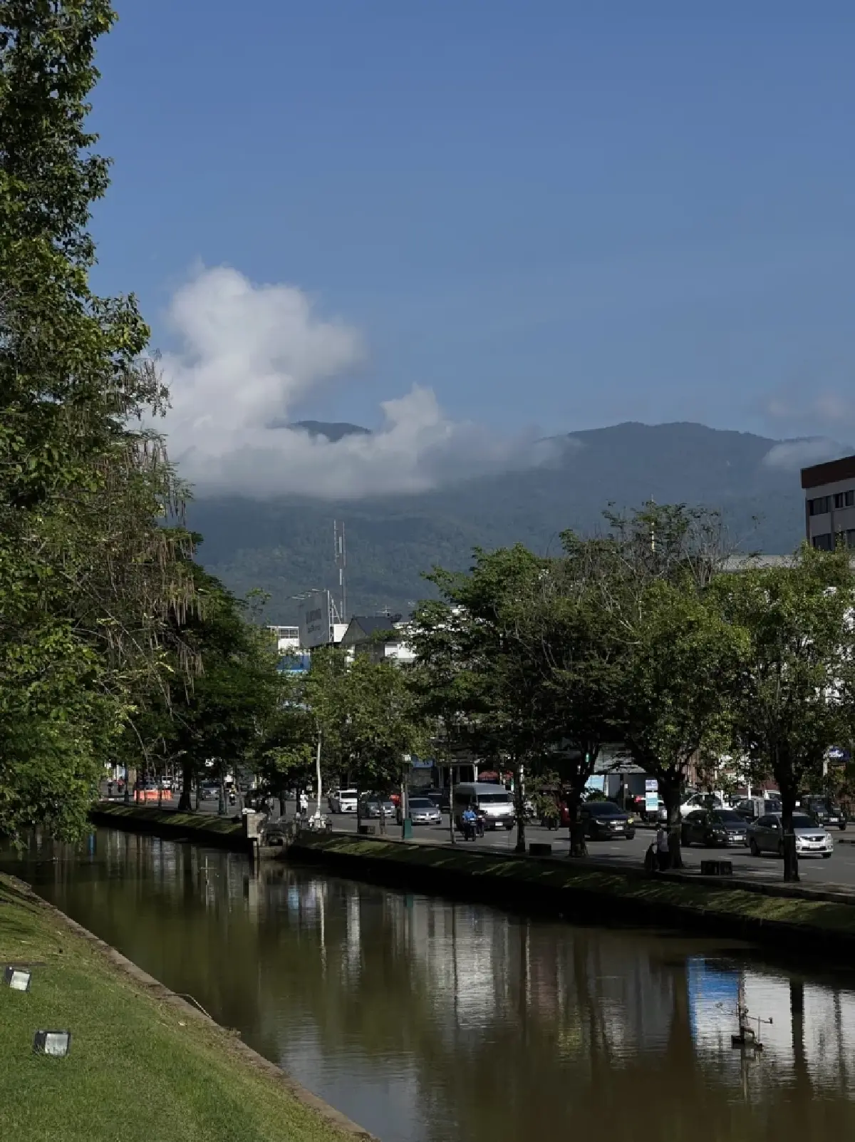 ภาพหาดูยาก "ปลาบิน" ในคูเมืองเชียงใหม่