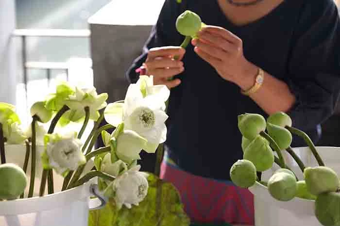 "วันวิสาขบูชา" 15 พ.ค.65 "สวนโมกข์กรุงเทพ" ชวนร่วมทำบุญตักบาตร เวียนเทียน