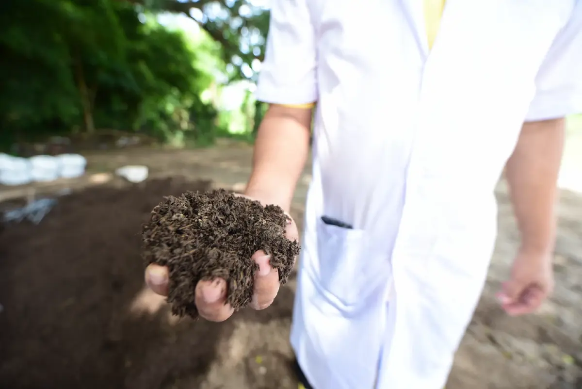 เกษตรกรดีเด่นสู่ปราชญ์เกษตรด้านปศุสัตว์ คุณสุพจน์ สิงห์โตศรี
