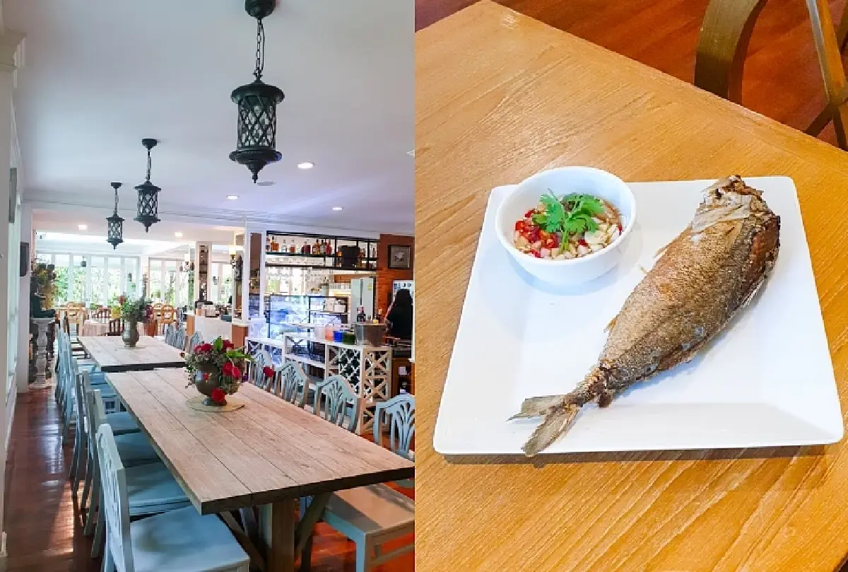 4 "ร้านอร่อย" ติดโผ “มิชลินไกด์” เดือน มิย. จากอยุธยาถึงภูเก็ต