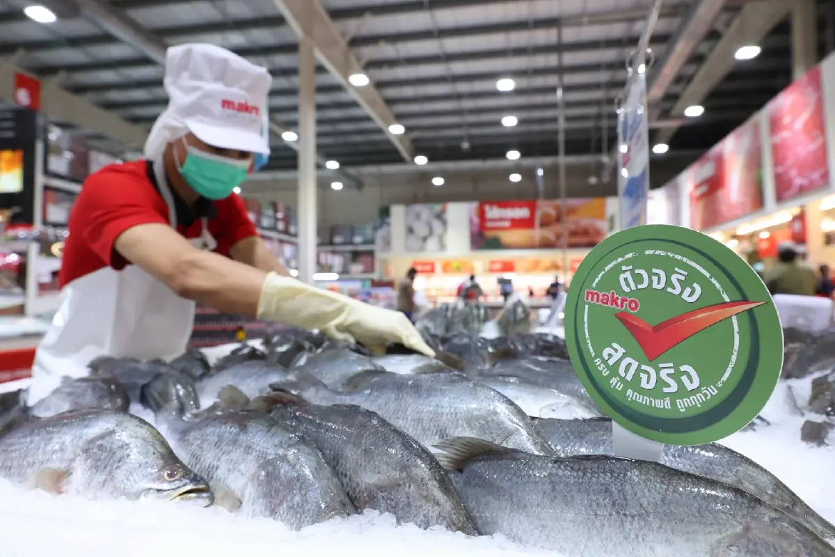 แม็คโคร เดินหน้าขยายสาขาฟูดเซอร์วิส มุ่งสู่ผู้นำธุรกิจค้าส่งค้าปลีกระดับเอเชีย