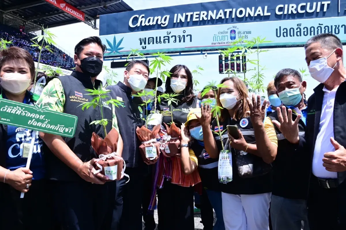 มนัญญา แจกกัญชาครัวเรือนละ 2 ต้น รวม 1 ล้านตัน