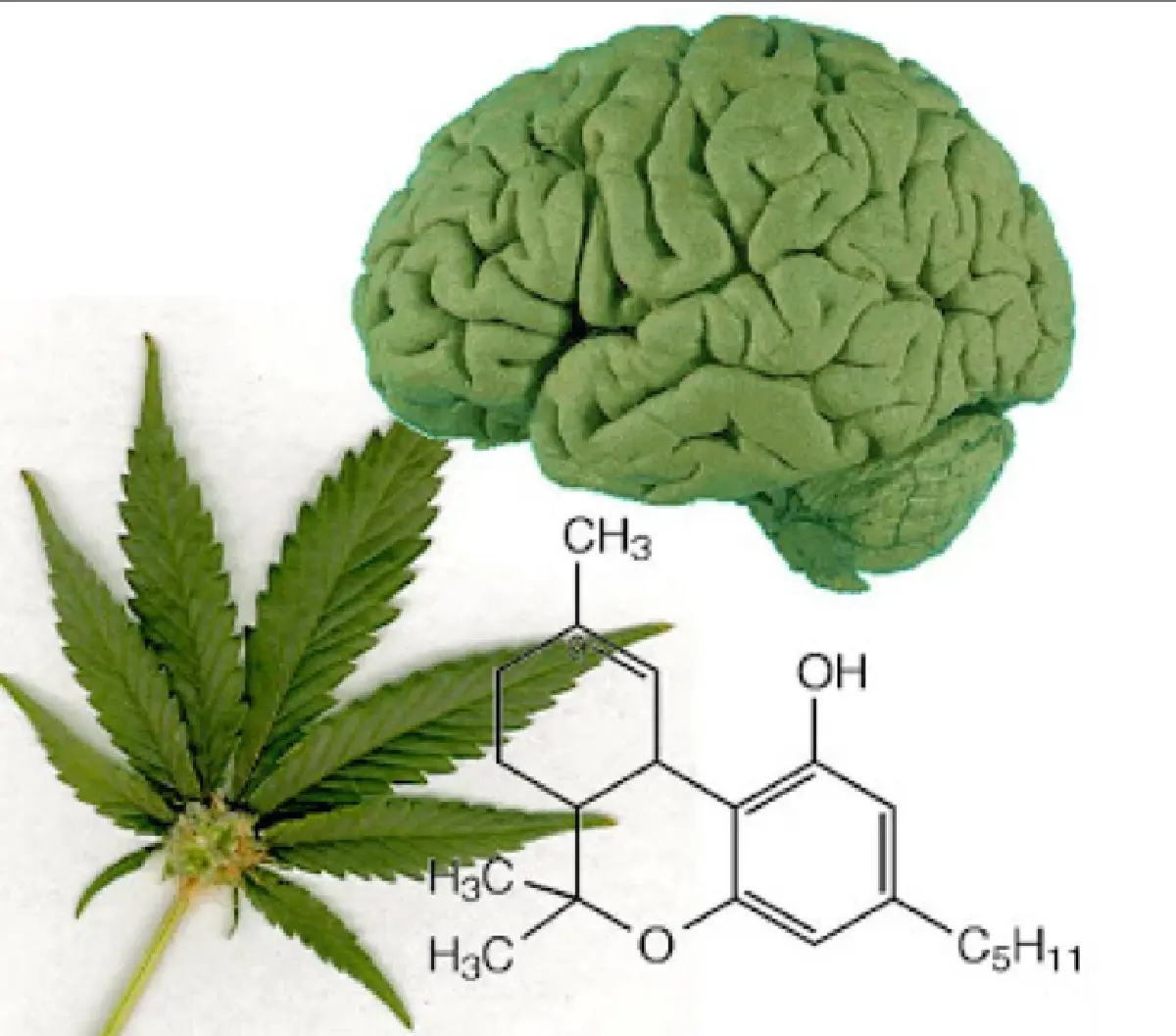 “ไวน์กัญชา” จาก "แคลิฟอร์เนีย" ดื่มเพื่อ...ผ่อนคลาย