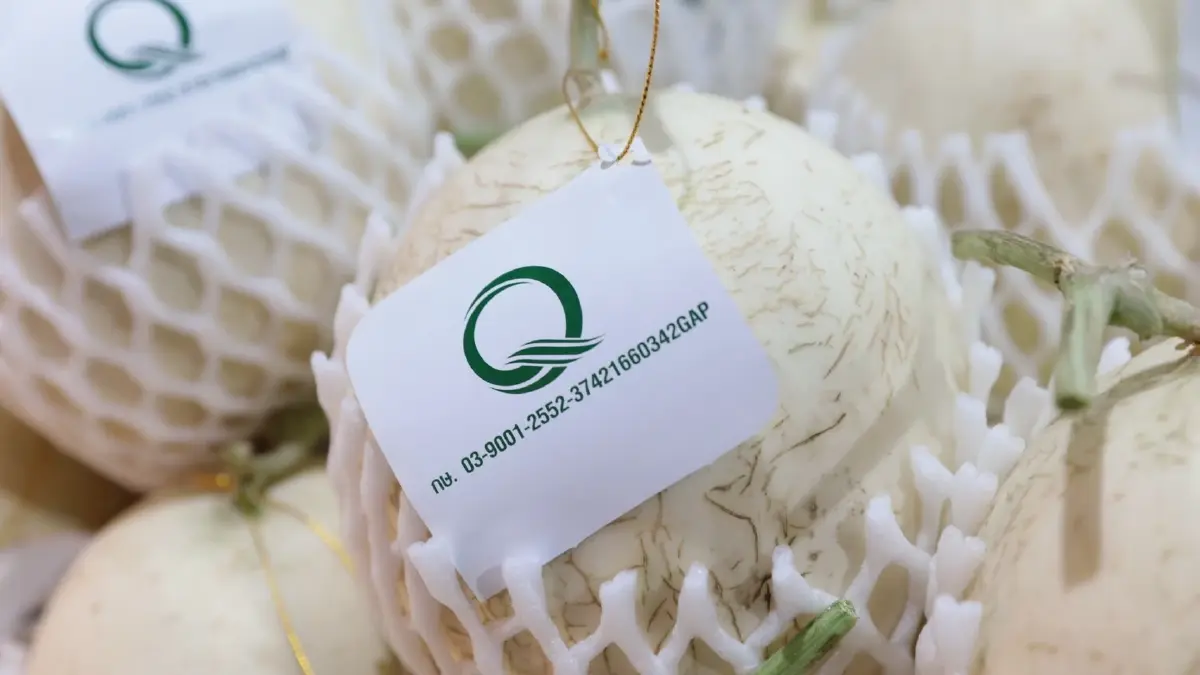 แม็คโคร ได้รับการรับรองสัญลักษณ์ Q สถานที่ป้องกันการปนเปื้อน COVID-19