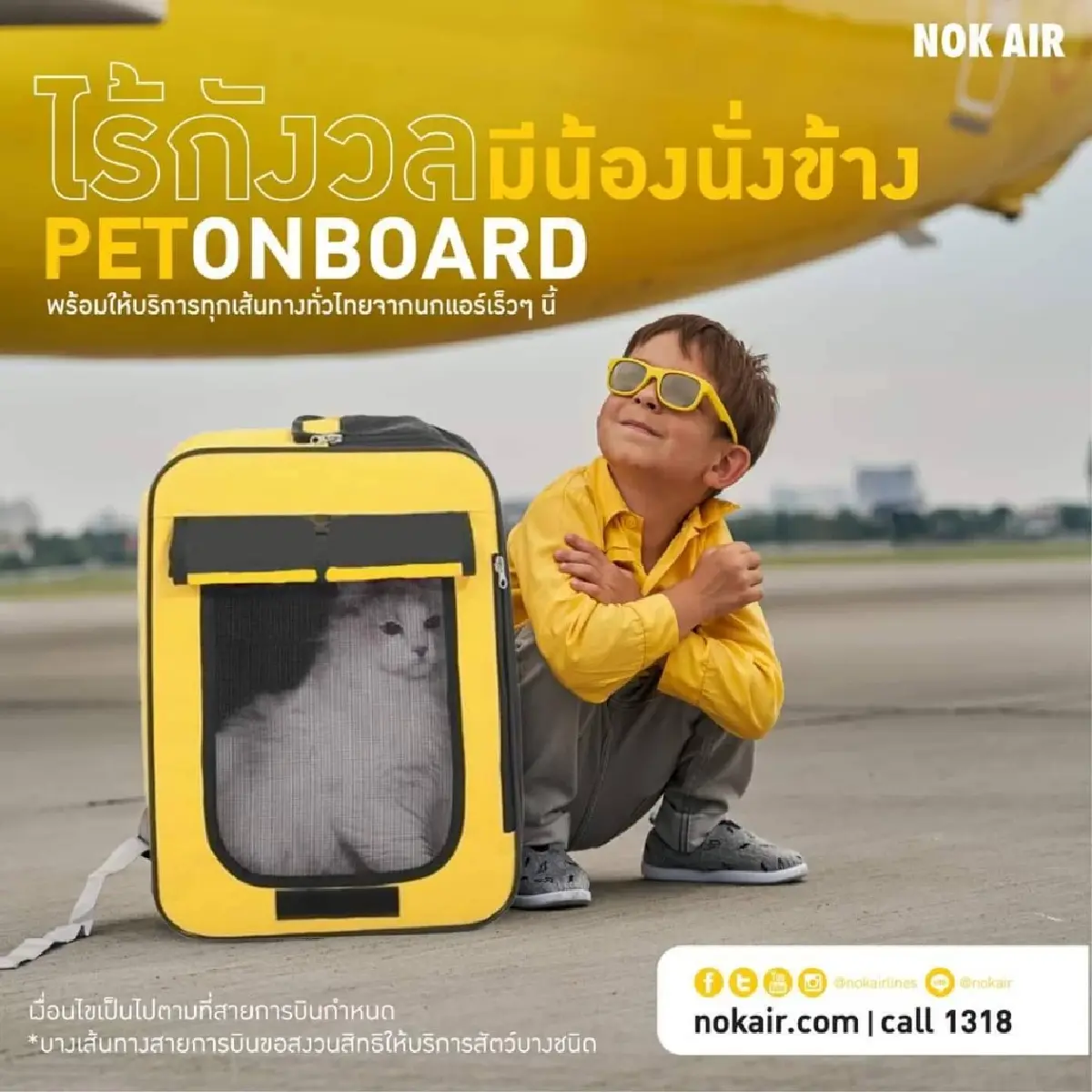 เจาะเงื่อนไข ‘PETONBOARD’ ส.ค.นี้ ทาสเตรียมลาพานายเที่ยว