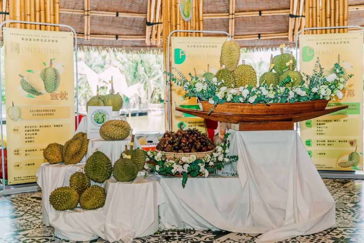 เทศกาลทุเรียนไทย 65 ยืนหนึ่งตลาดจีน ครึ่งปีส่งออกกว่า 5 แสนตัน