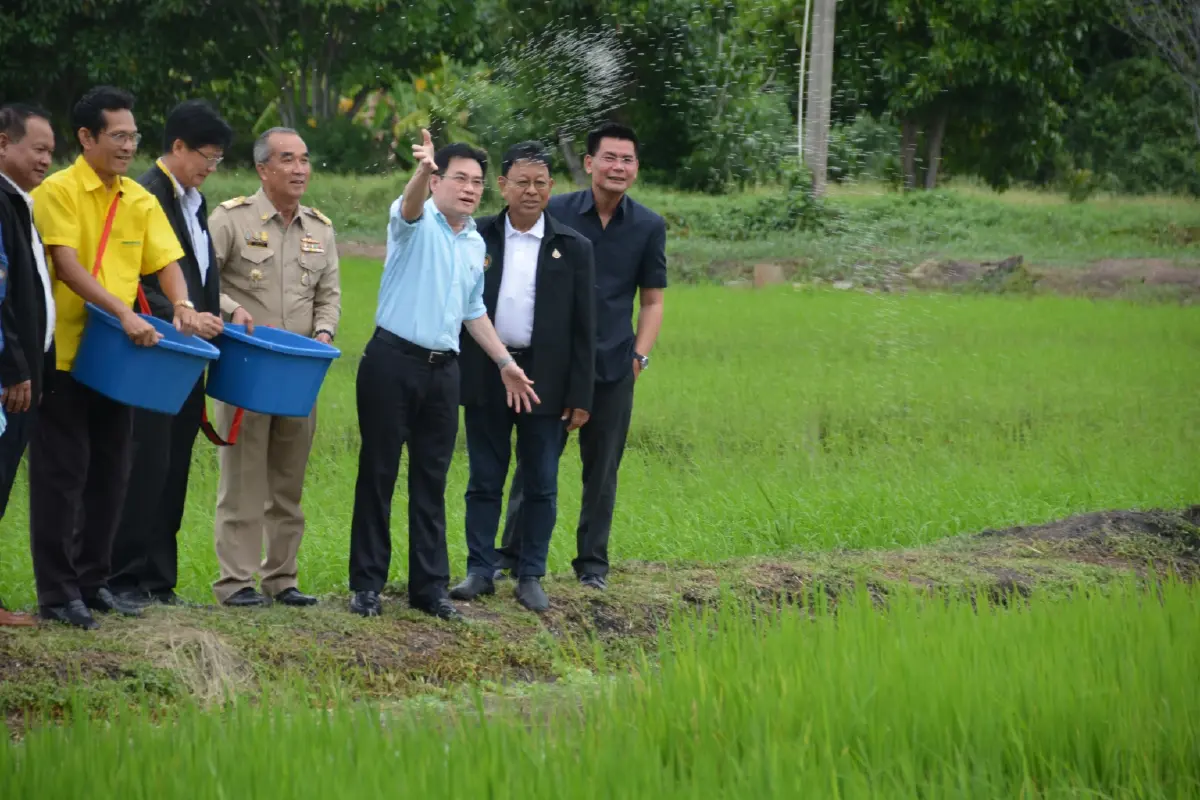 3 ปี ถม 3 แสนล้าน ประกันรายได้  คุ้มหรือไม่คุ้ม