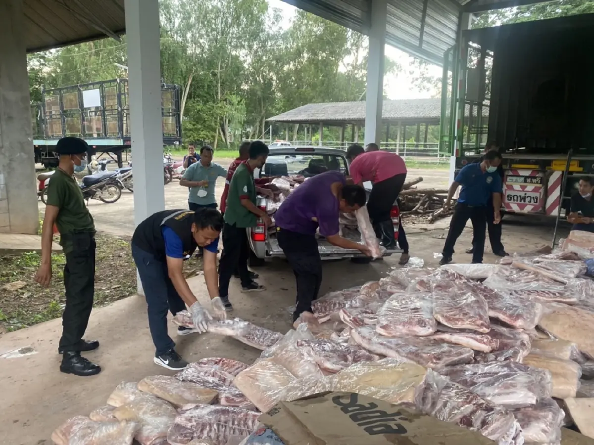 ปศุสัตว์ บุก ยึดทำลายเนื้อลักลอบนำเข้ากว่า 9.45 ตัน