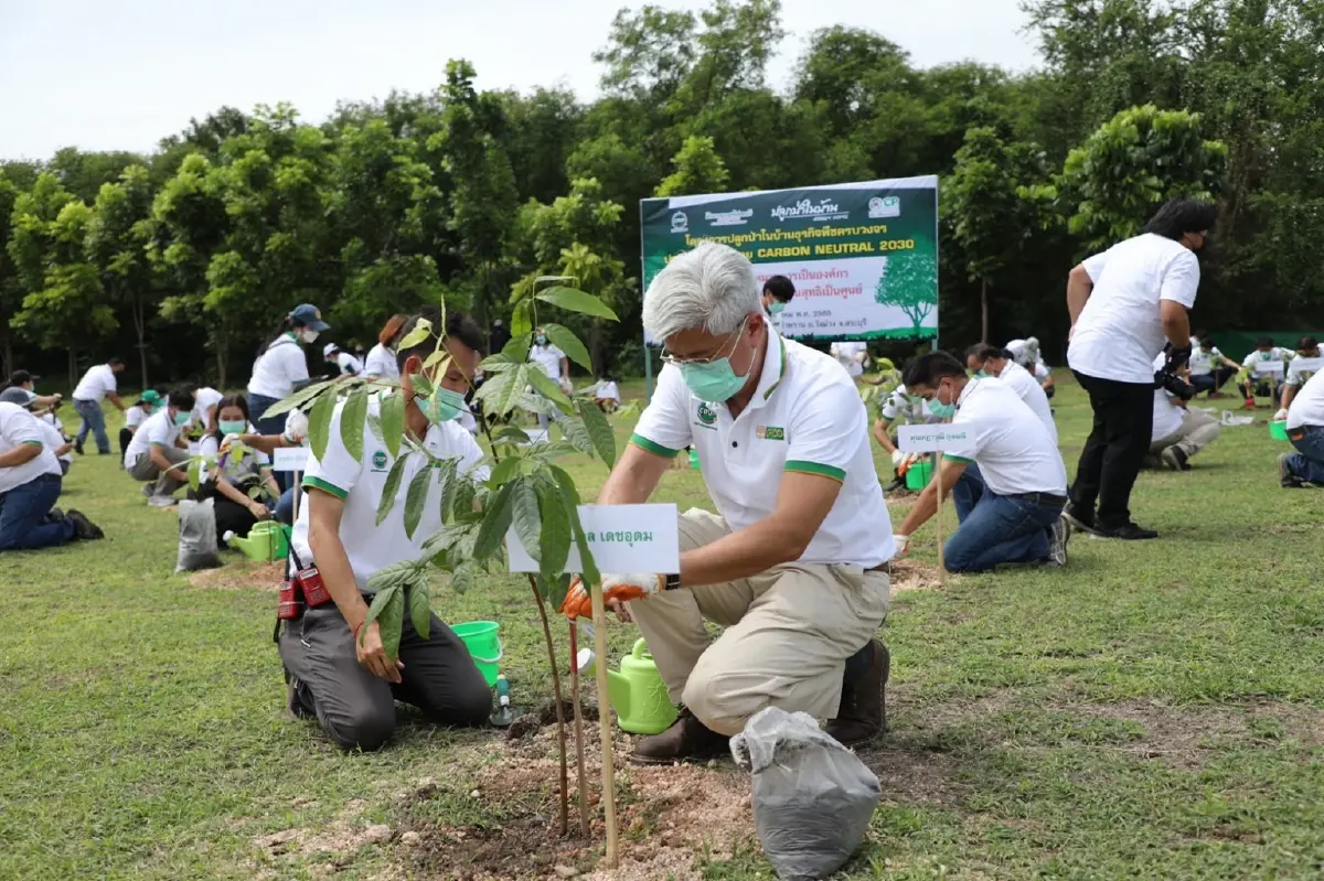 "ปลูกป่าในบ้าน" โครงการกรีนๆ ที่ทำให้ทุกที่มีต้นไม้ยืนต้น
