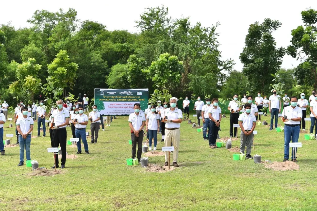 "ปลูกป่าในบ้าน" โครงการกรีนๆ ที่ทำให้ทุกที่มีต้นไม้ยืนต้น