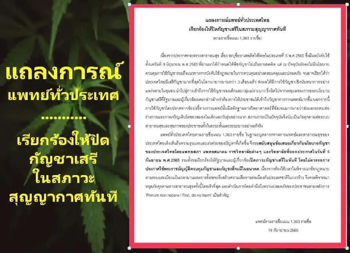 1,363 แพทย์ทั่วประเทศ เรียกร้องรัฐบาลปิดกัญชาเสรี ในสภาวะสุญญากาศทันที
