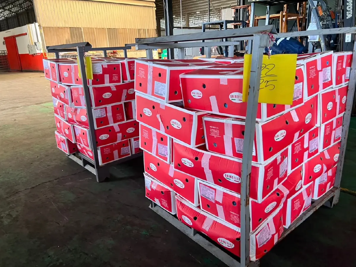 “ปศุสัตว์” บุกตรวจสอบห้องเย็นซุกเนื้อหมู-ไก่เถื่อนล็อตใหญ่กว่า 100 ตัน