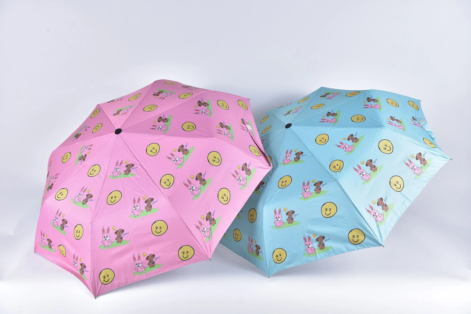 สคสกรมสมเด็จพระเทพฯ