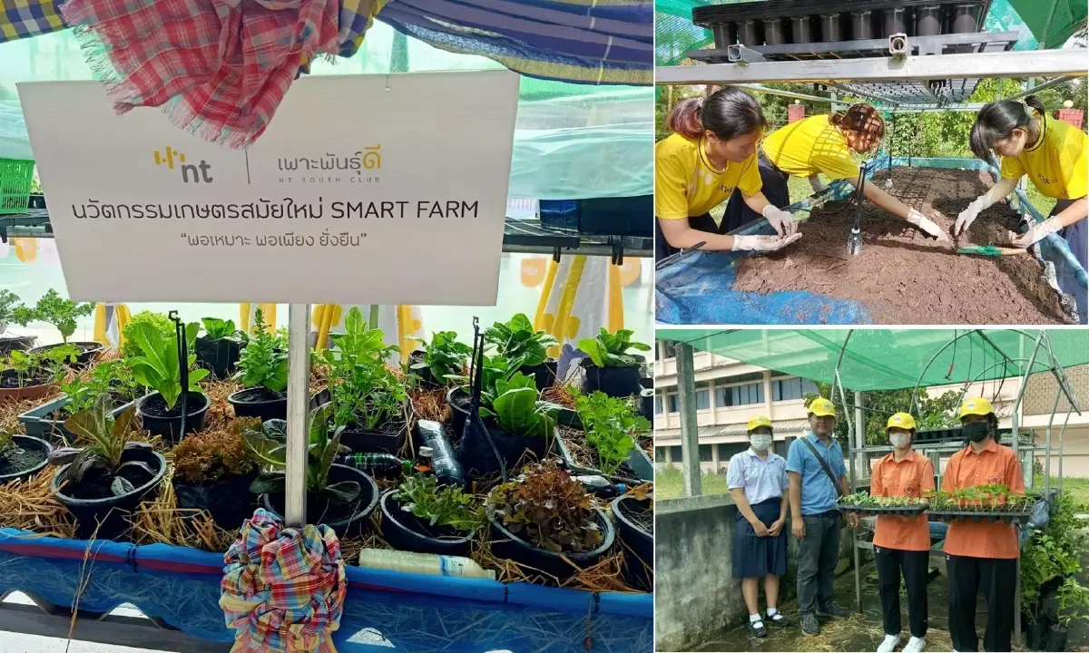 การเดินทางและความสำเร็จของโครงการเพาะพันธุ์ดี NT Youth Club ปี 65