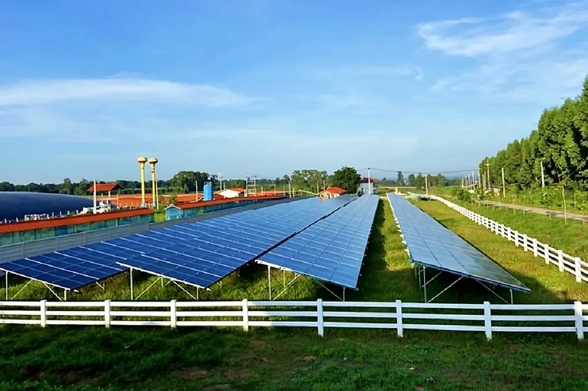 ซีพีเอฟ บนเส้นทางร่วมกู้วิกฤติภาวะโลกร้อน สู่ Net Zero