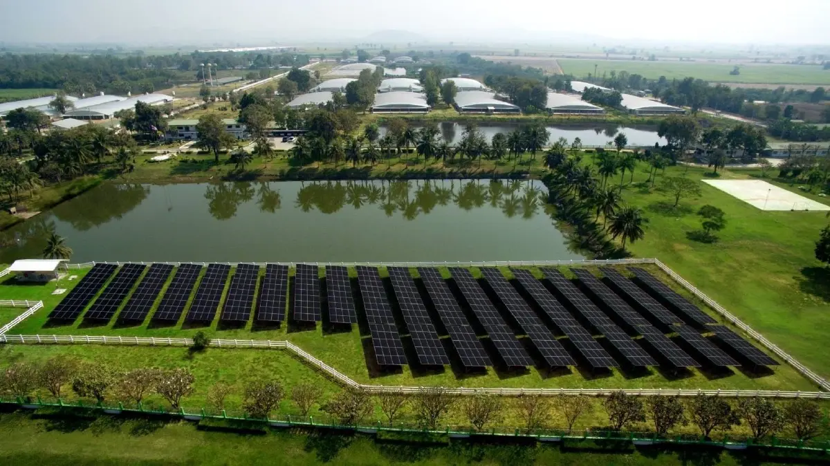 ซีพีเอฟ บนเส้นทางร่วมกู้วิกฤติภาวะโลกร้อน สู่ Net Zero