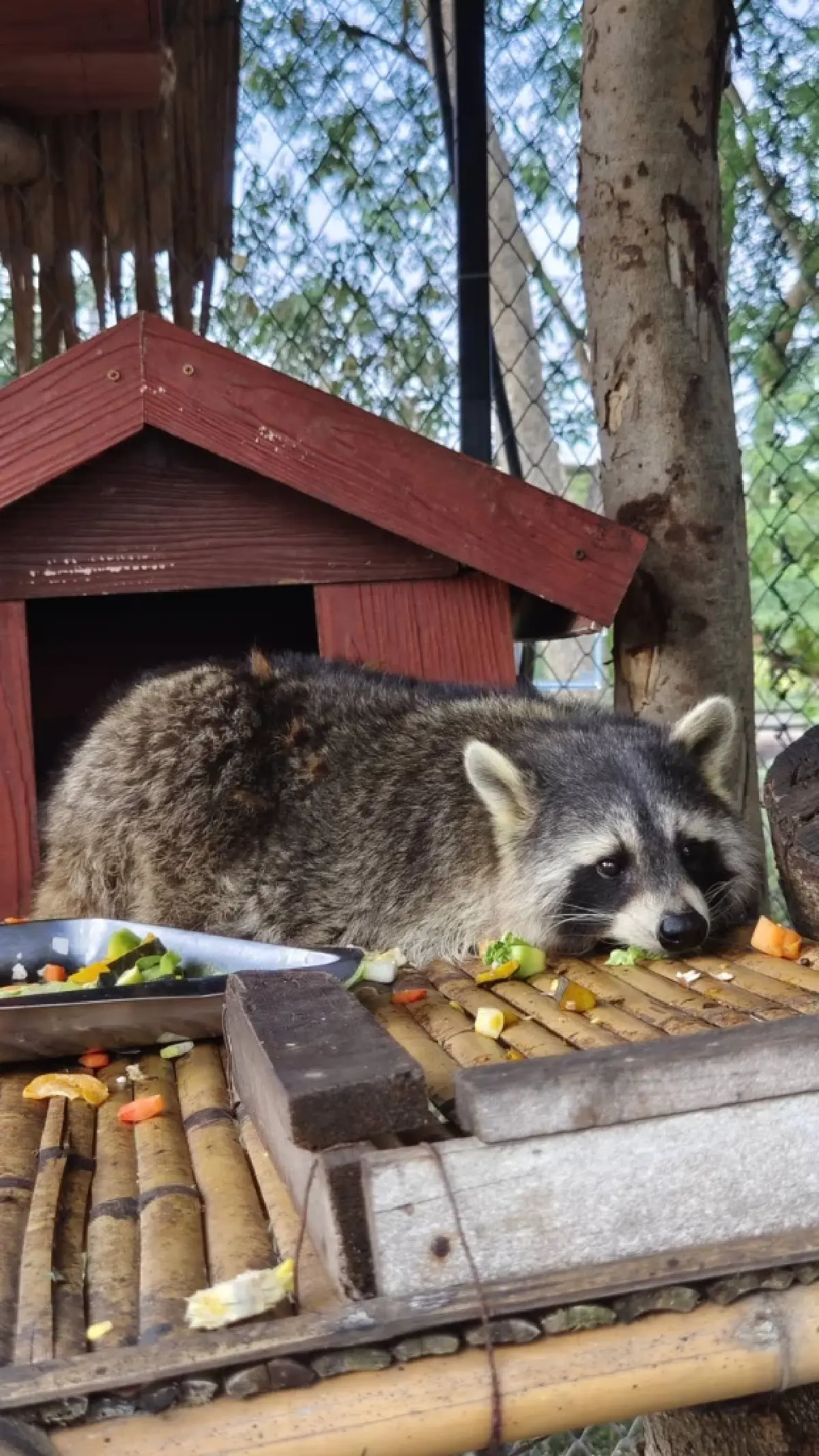 ‘สวนสัตว์แห่งใหม่ ปี 2566’ ผสานแนวคิด‘ชุบชีวิตทุ่งน้ำ’