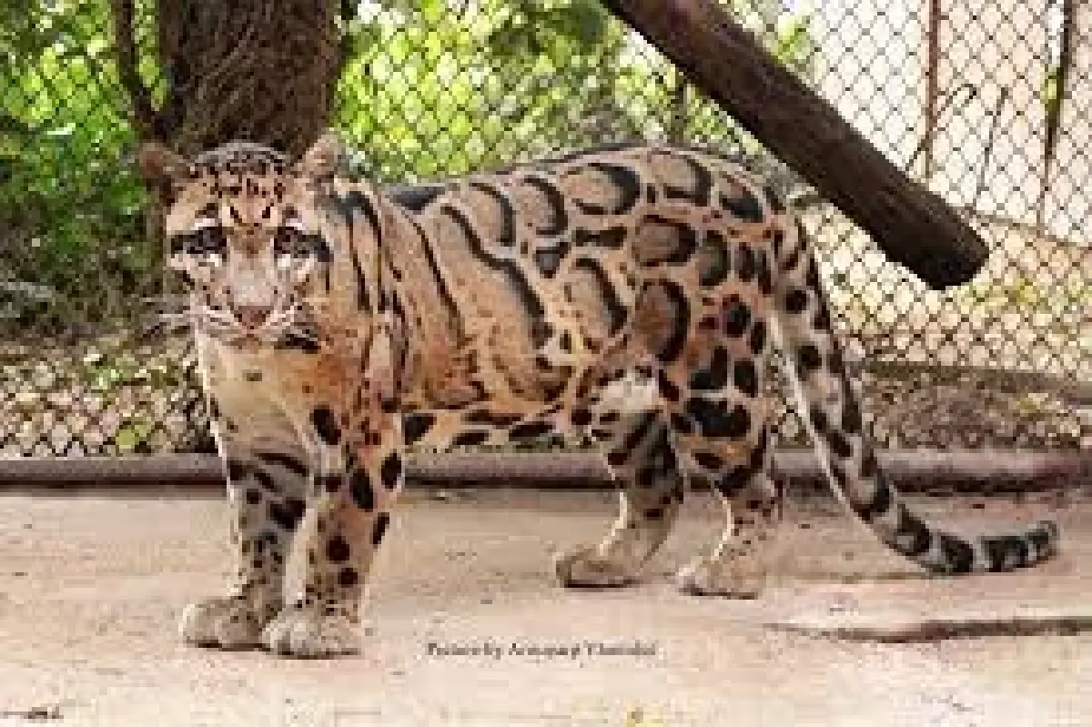 ‘สวนสัตว์แห่งใหม่ ปี 2566’ ผสานแนวคิด‘ชุบชีวิตทุ่งน้ำ’