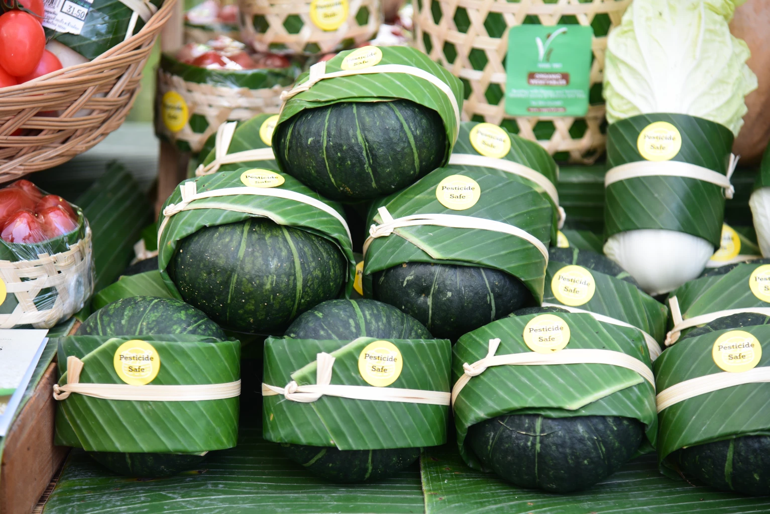 รู้ไหมเอาอะไรใส่ปาก? เที่ยว “เทศกาลทวงคืนพื้นที่สีเขียวบนโต๊ะอาหาร”