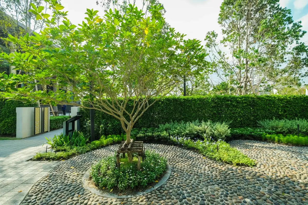 พฤกษาเนรมิตสวนบำบัดเพิ่มความสุขลูกบ้าน