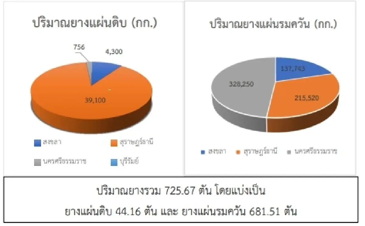 สถานการณ์ยางพาราวันที่ 31 มกราคม 2566