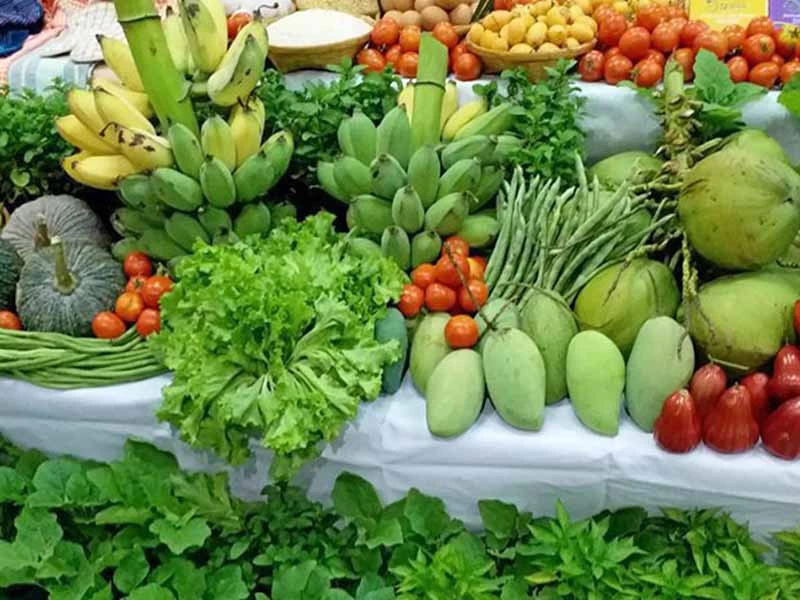 เกษตรไทย ฝ่าวิกฤติโลก ส่งออก11 เดือน ทะลุ 1.55 ล้านล้านบาท พุ่ง 22 %