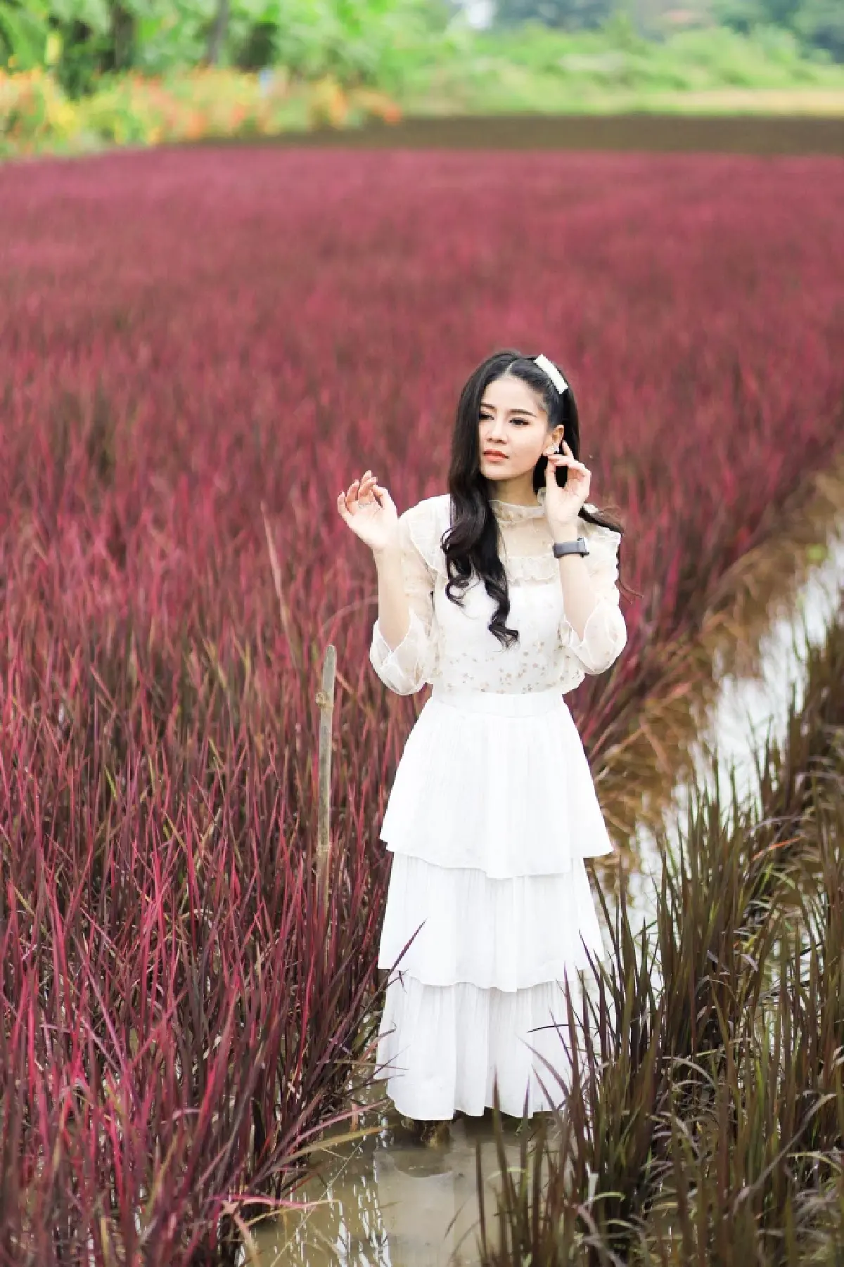 จุดเช็คอินสุดฟิน ถ่ายภาพกับนาข้าวสีชมพู พร้อมเปิดตัวพันธุ์ข้าวใหม่ ไวท์เบบี้