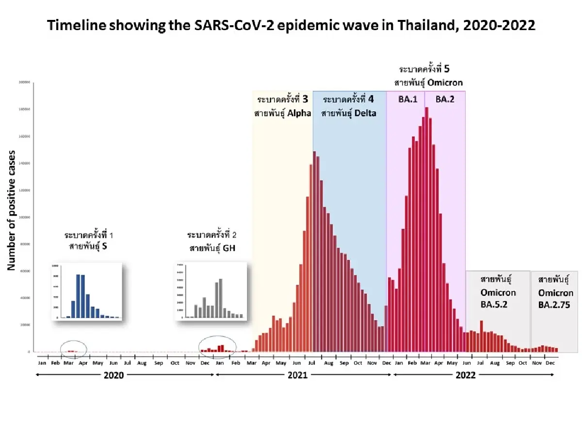 "หมอยง" วิเคราะห์การระบาดของ "โควิด-19" กับการรับนักท่องเที่ยวต่างชาติ