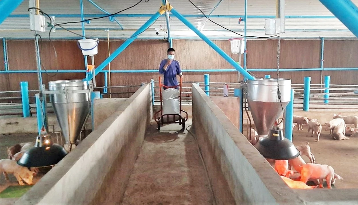ซีพีเอฟ ชู Biosecurity หนุนเกษตรกรคอนแทรคฟาร์มมิ่ง เดินหน้าสร้างอาหารมั่นคง