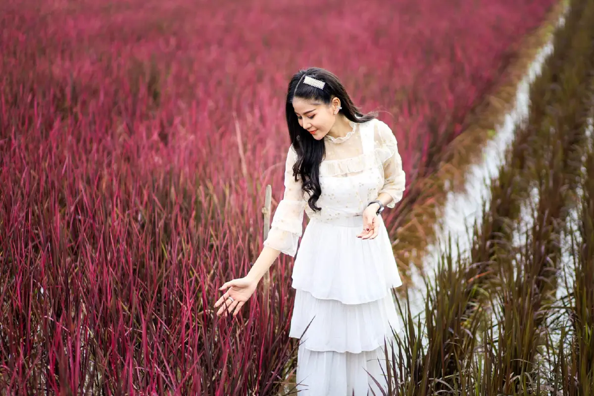 จุดเช็คอินสุดฟิน ถ่ายภาพกับนาข้าวสีชมพู พร้อมเปิดตัวพันธุ์ข้าวใหม่ ไวท์เบบี้