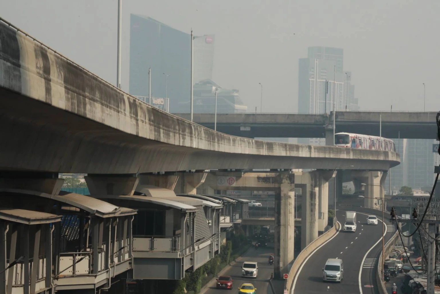 เช็กลิสต์ 26 พรรณไม้ ดูดซับฝุ่น PM2.5 และมลพิษทางอากาศ