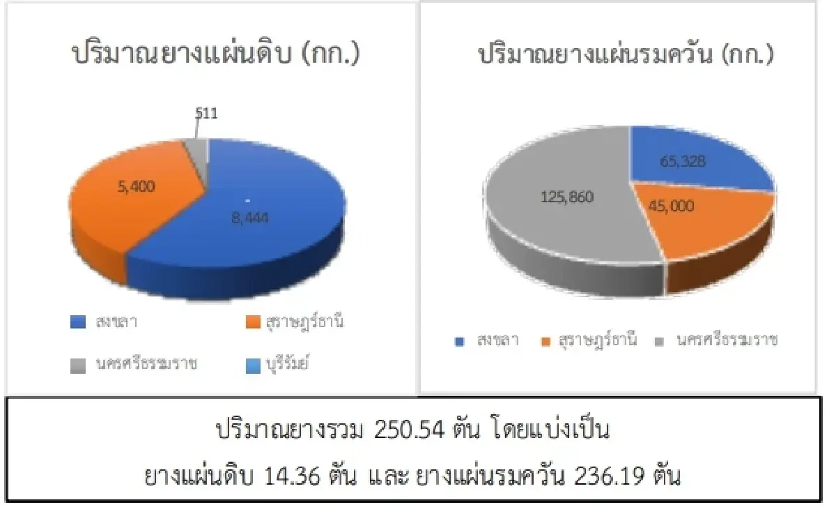 สถานการณ์ยางพารา วันที่ 17 กุมภาพันธ์ 2566