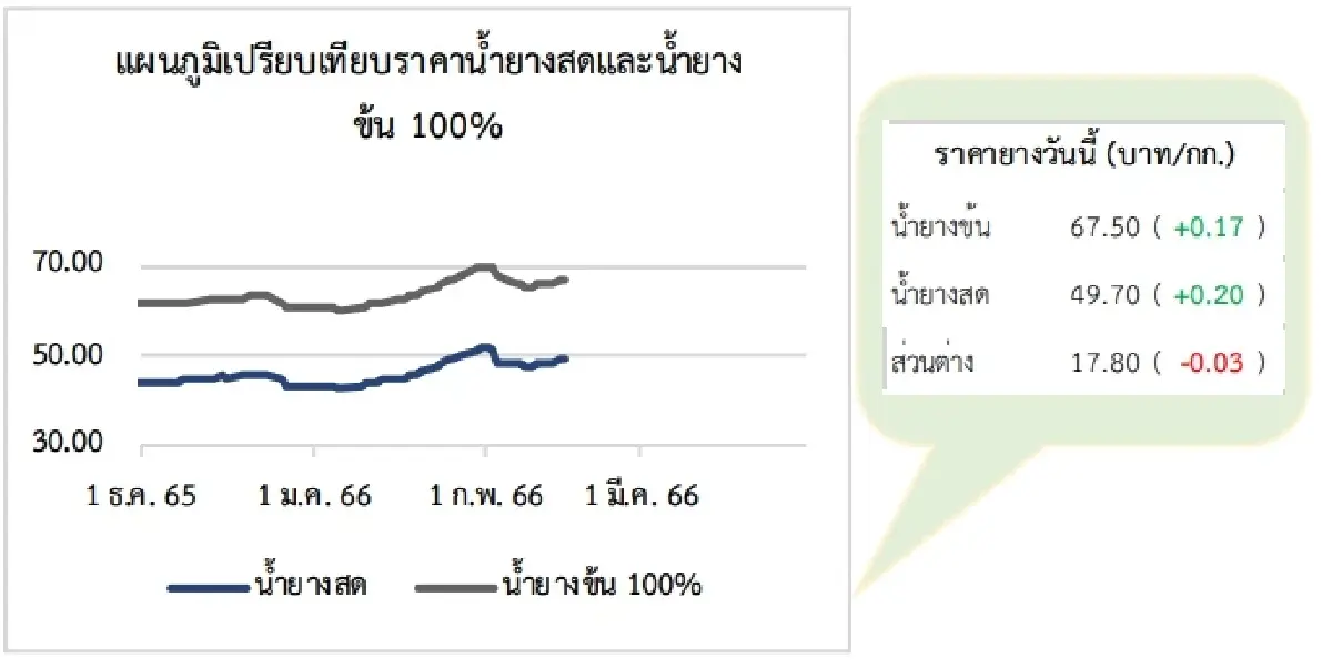 สถานการณ์ยางพารา วันที่ 15 กุมภาพันธ์ 2566