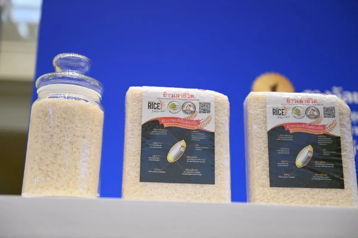 พาณิชย์ คาด ปี 66 ส่งออกข้าวได้ถึง 8  ล้านตัน จากบาทอ่อน คู่แข่งชะลอส่งออกข้าว