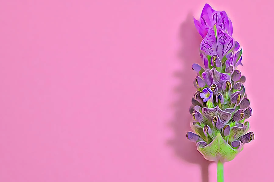 “เทรนด์สี 2023” สียอดนิยม Digital Lavender เพื่อโลกยุคหลังโควิด