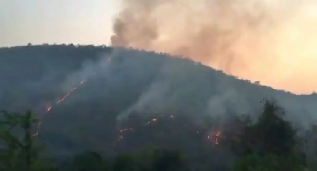 แม่ฮ่องสอน 'ไฟป่า' ทะลักกว่า 300 จุด อยู่ในภาวะวิกฤติ