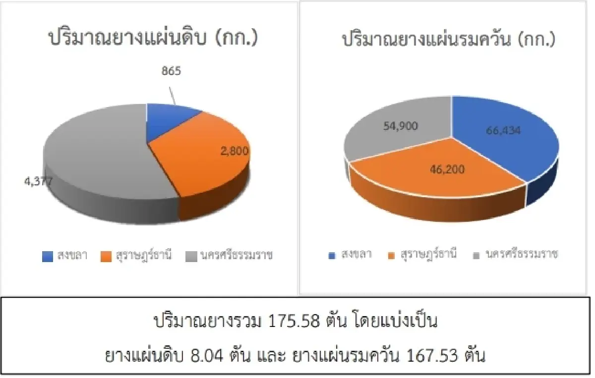 สถานการณ์ยางพารา วันที่ 2 มีนาคม 2566