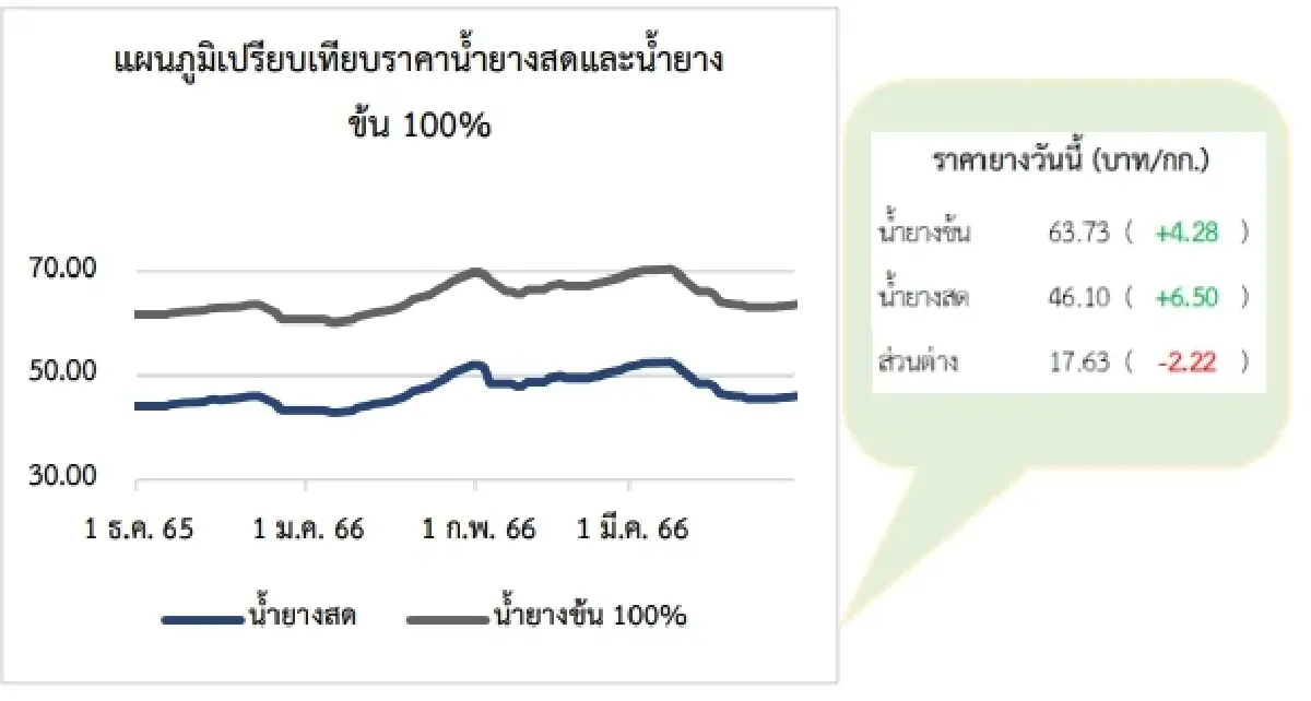 สถานการณ์ยางพารา วันที่ 31 มีนาคม 2566