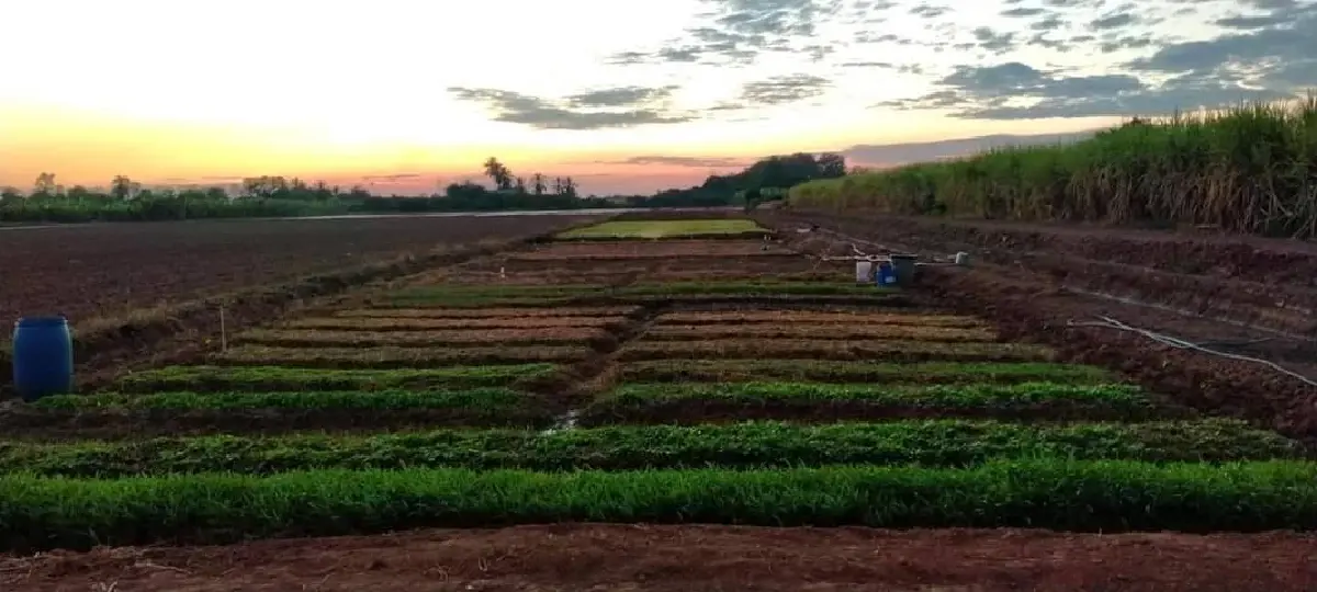 อ.ส.ค.ยกโรงงานมสุโขทัยต้นแบบช่วยเหลือชุมชน