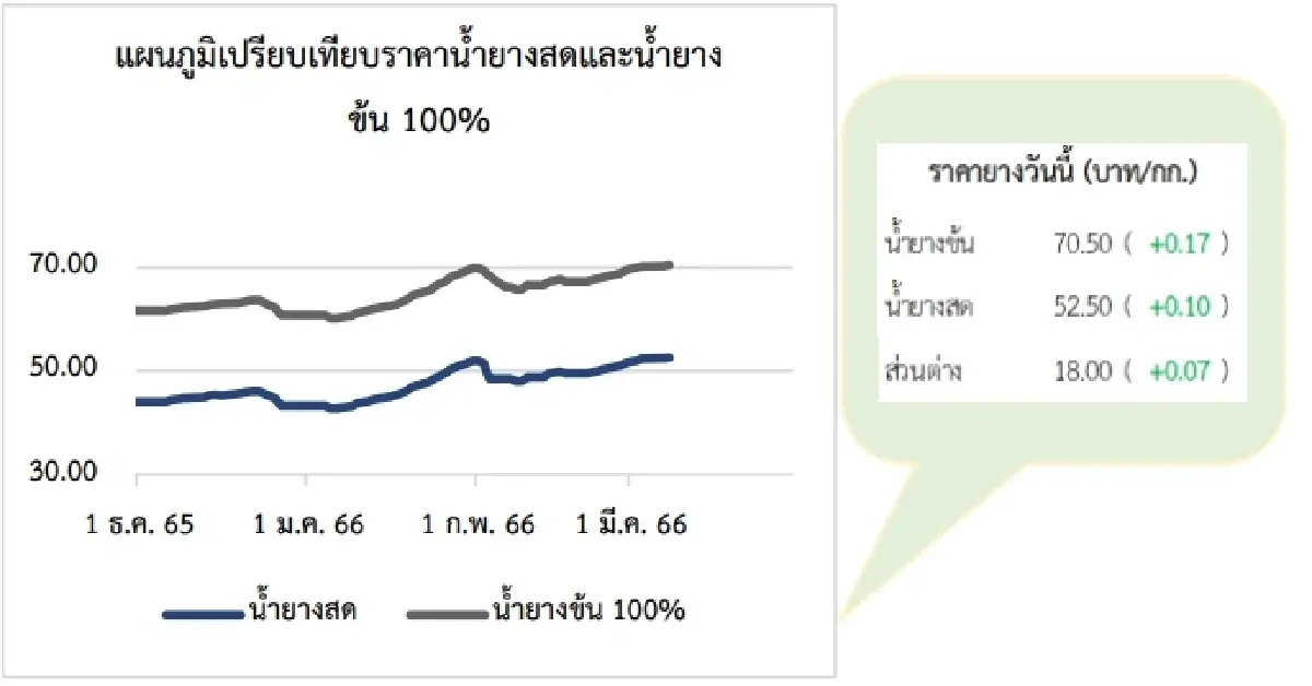 สถานการณ์ยางพารา วันที่ 8 มีนาคม 2566
