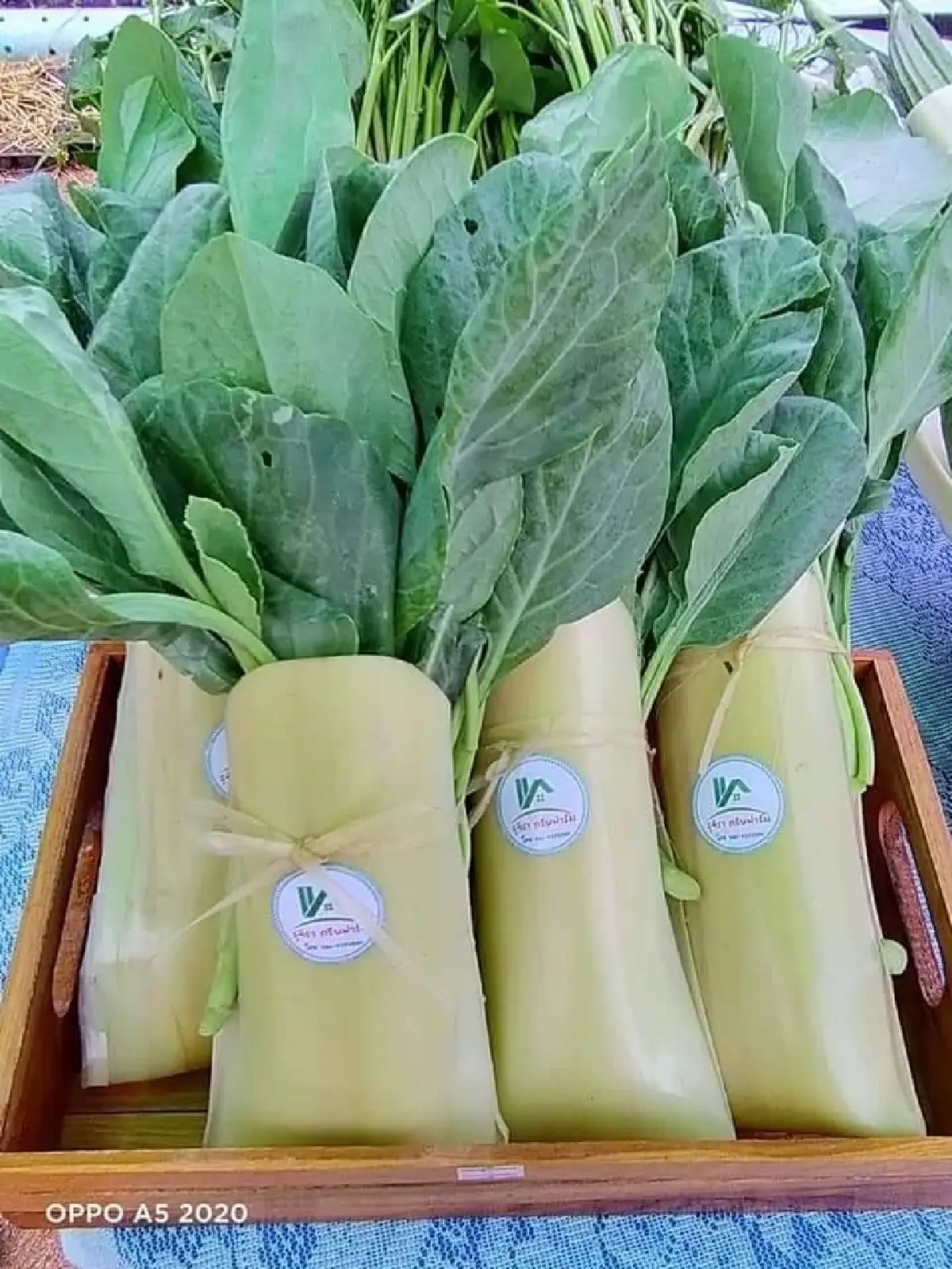 อ.ส.ค.ยกโรงงานมสุโขทัยต้นแบบช่วยเหลือชุมชน